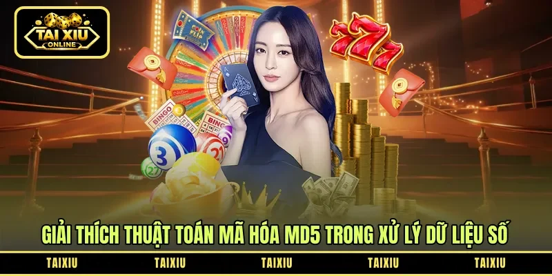 Giải thích thuật toán mã hóa MD5 trong xử lý dữ liệu số