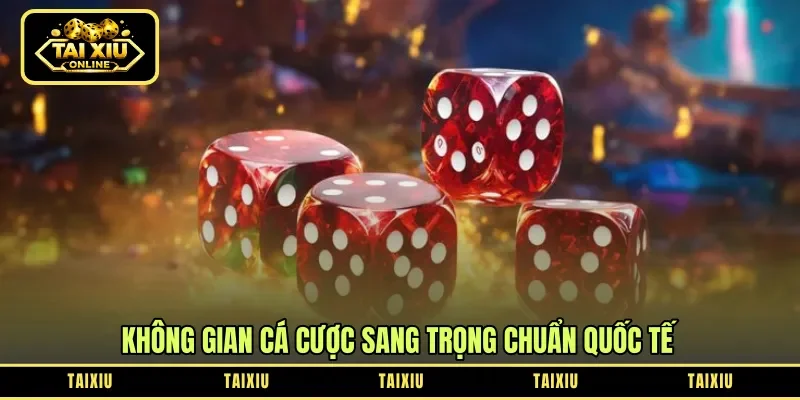 Không gian cá cược sang trọng chuẩn quốc tế