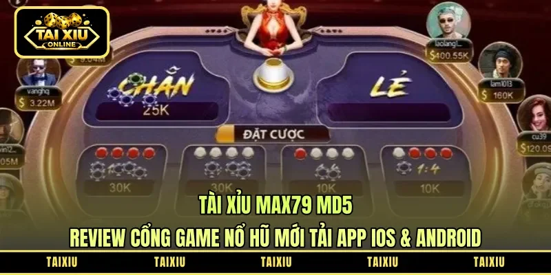 Tài Xỉu Max79 MD5: Review Cổng Game Nổ Hũ Mới – Tải App iOS & Android