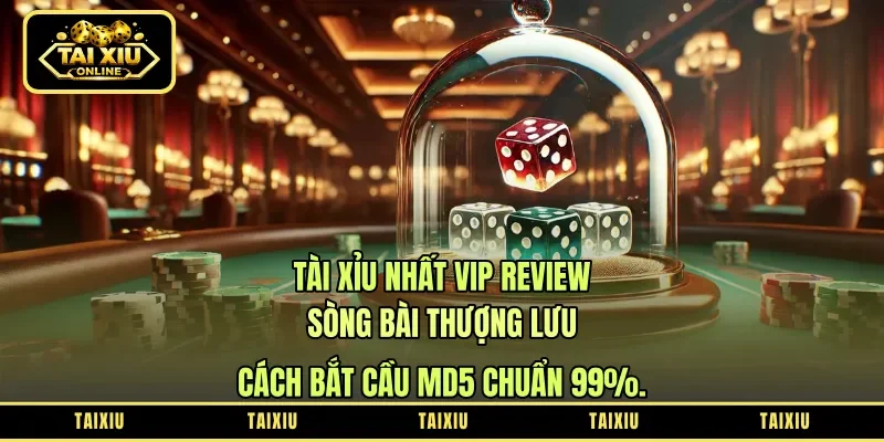 Tài Xỉu Nhất Vip Review: Sòng Bài Thượng Lưu – Cách Bắt Cầu MD5 Chuẩn 99%