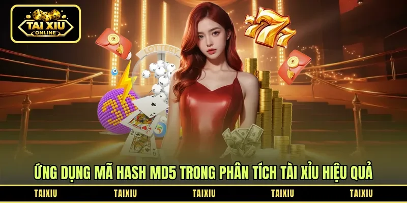 Ứng dụng mã hash MD5 trong phân tích tài xỉu hiệu quả